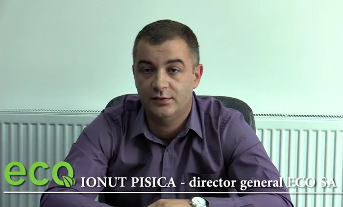 Pisicile îşi recunosc numele dar probabil aleg să îşi ignore stăpânul