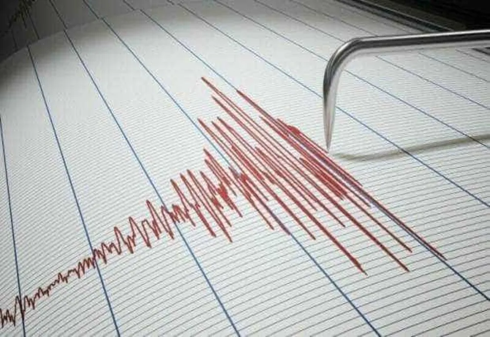 Cutremur cu magnitudinea 3,1 în județul Buzău, miercuri dimineața