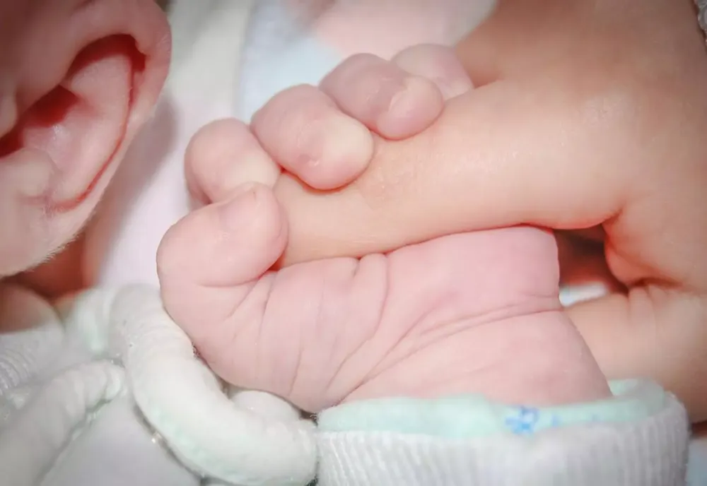 MAMELE AR PUTEA FI SCUTITE DIN NOU DE LA PLASA CASS
