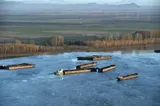 Zeci de barje și convoaie staționează în zona Giurgiu-Ruse din cauza nivelului scăzut al Dunării
