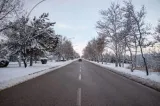 Pneurile care refuză să aleagă între anotimpuri