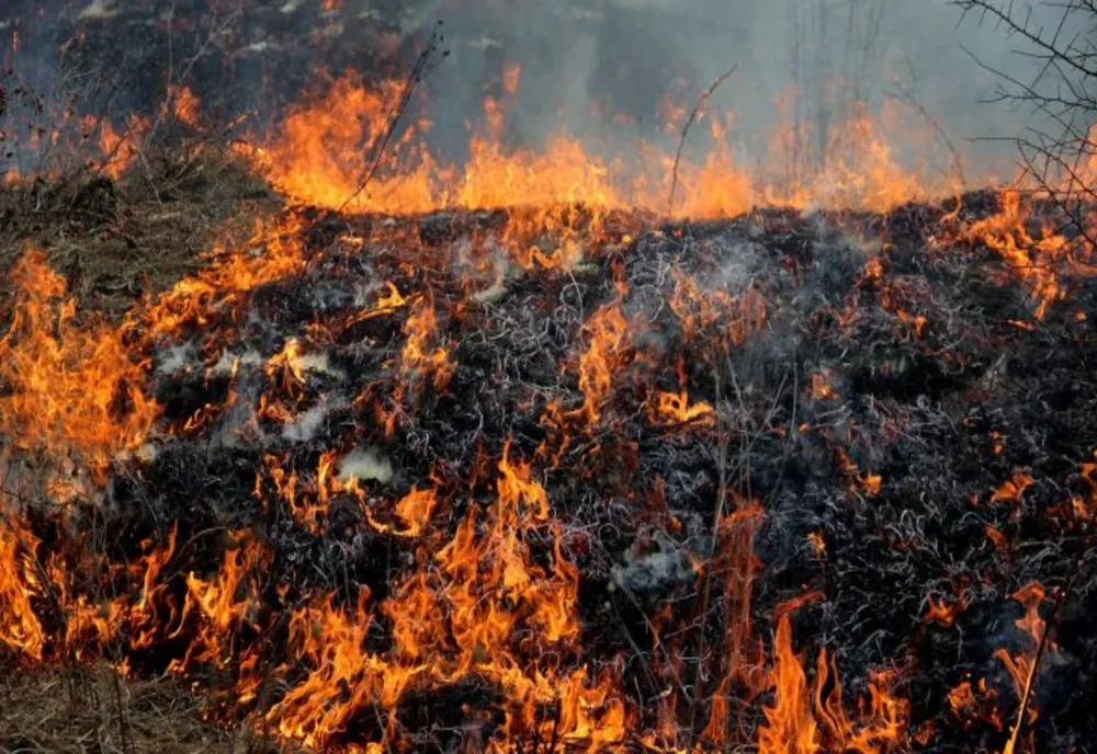 Incendii violente în Turcia! Flăcările au ajuns în apropierea unor stațiuni celebre: sute de persoane, evacuate