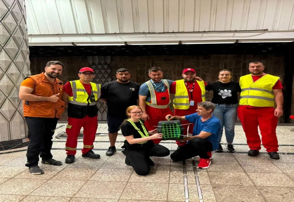 Pisica prizonieră la metrou a fost salvată: „Totul începe cu un om”