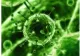 Ce este important să știm despre noul coronavirus identificat în China