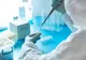 Hantavirus | Ce este, cum se transmite și ce simptome apar