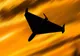 Primele imagini cu drona doborâtă în Buzău de un avion F-16 - VIDEO