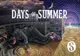 Smiley lansează „Days of Summer”. Cum sună piesa compusă acum 4 ani