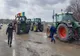Fermierii își strigă disperarea! Acuzații grave la vârful Ministerului Agriculturii: "Maria Cristina Manda, omul securiștilor, blochează ajutoarele!"