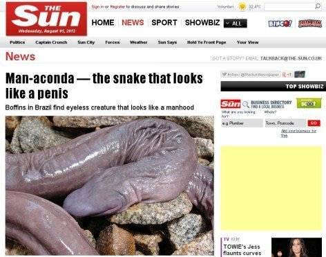 șarpe pe penis