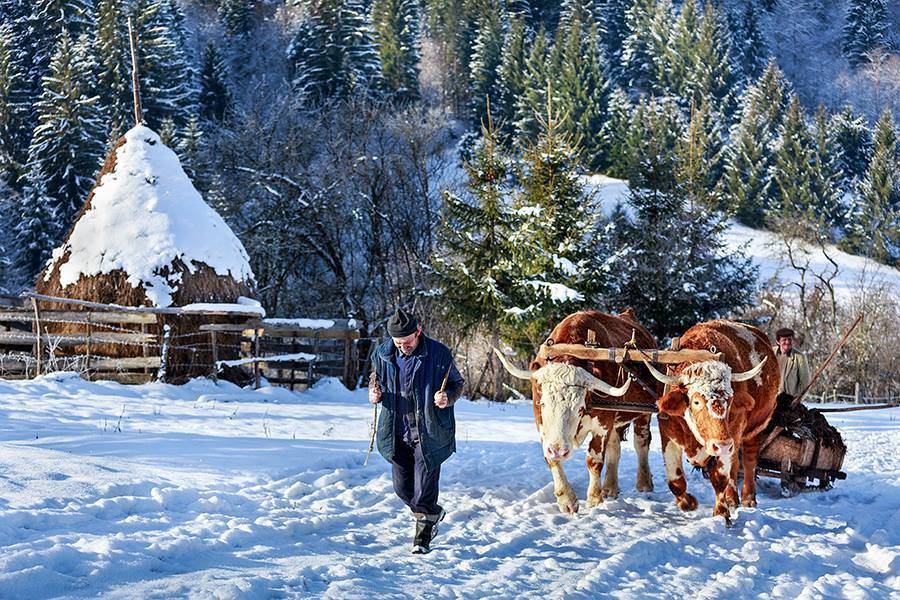 Iarna Peste Romania Fotografii Sorin Onisor
