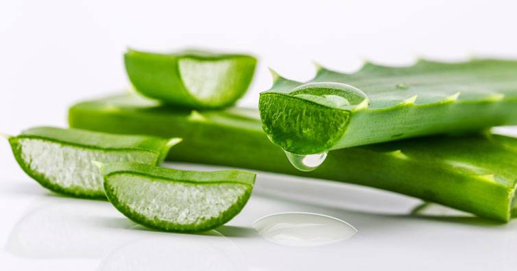 Cosmetice cu aloe vera | Aloe vera pentru ten și păr | apple-gsm.ro